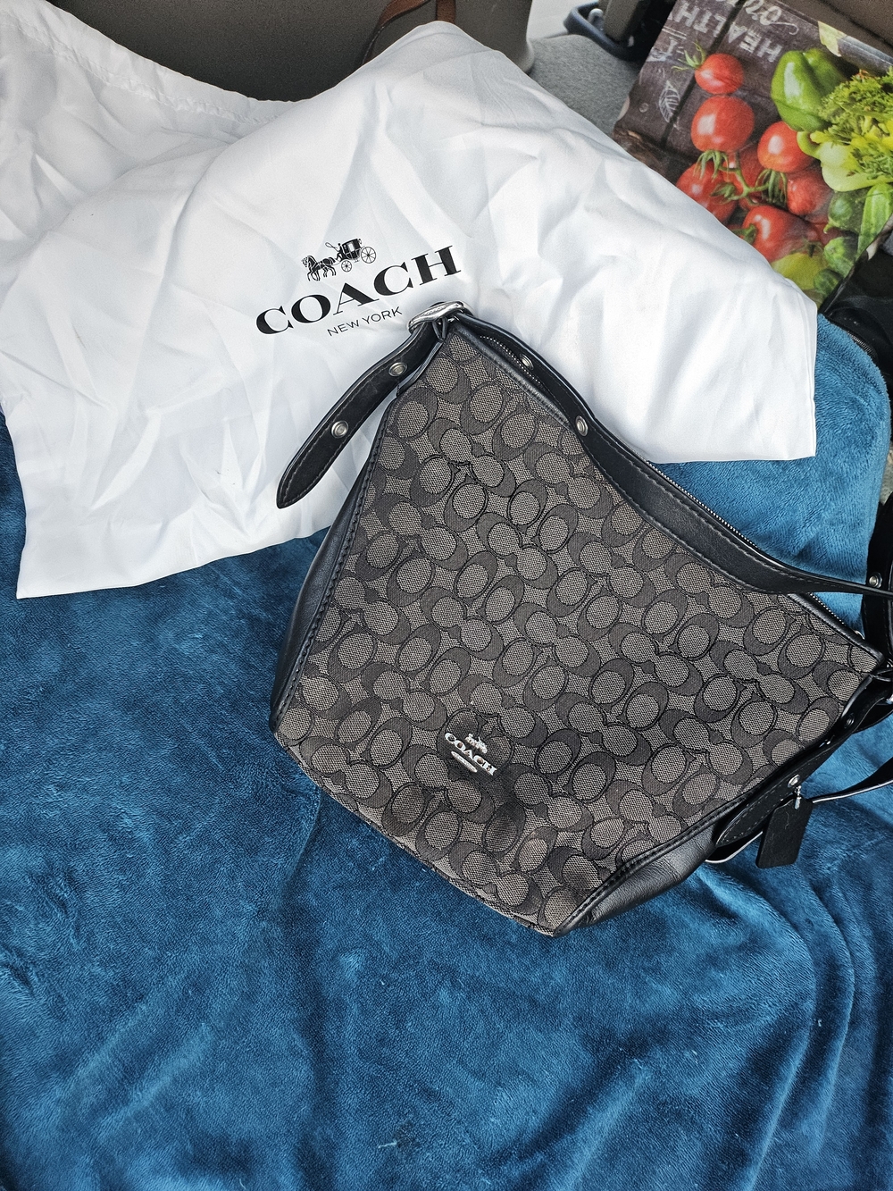 Coach Monogram Hobo Bag in Charcoal and Black